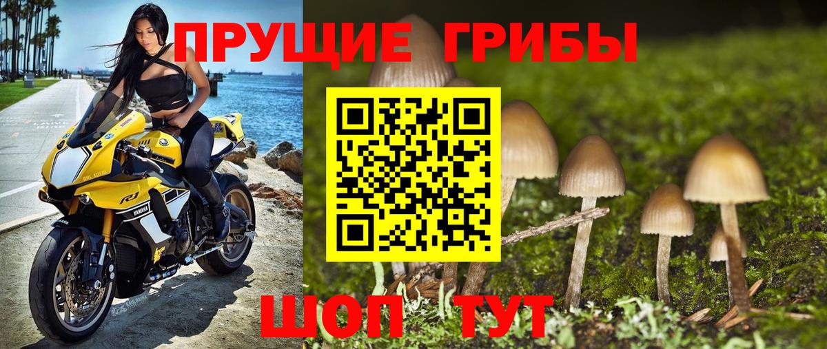 Тула  Псилоцибиновые грибы прущие грибы  Вход с VPN 