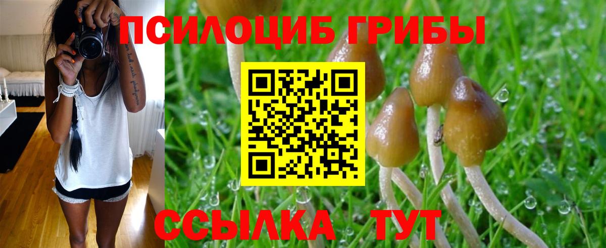 Галлюциногенные грибы мицелий Тула